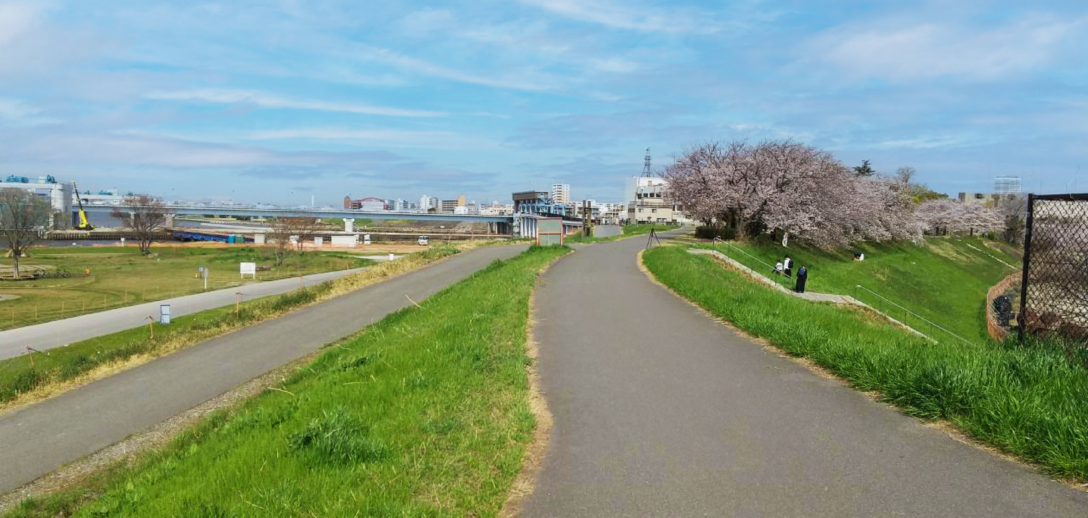 大藏 弘道